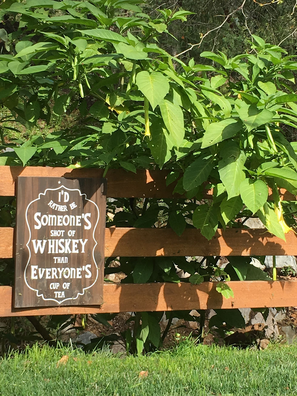 Thumbnail: Sat, July 13 - Paint Your Pet Portrait @RanchoLasLomas 12p-2p