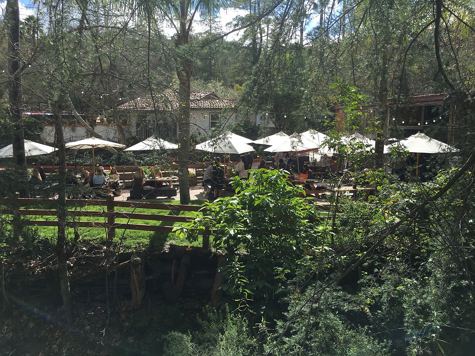 Thumbnail: Sat, July 13 - Paint Your Pet Portrait @RanchoLasLomas 12p-2p