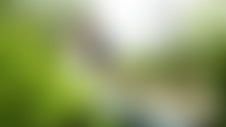 Hotel du Village • Bridget & Zach • Philadelphia Wedding Videographer