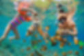 tropical-snorkeling.jpg