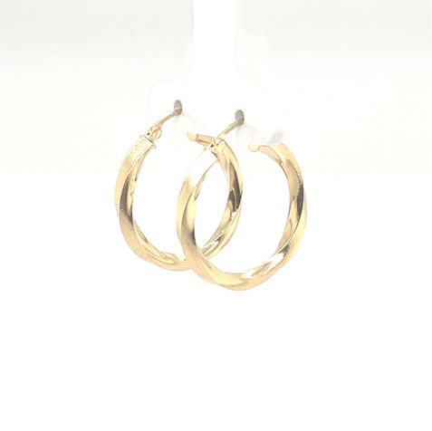 fancy hoops__2022-04-25-10-32-46.jpg