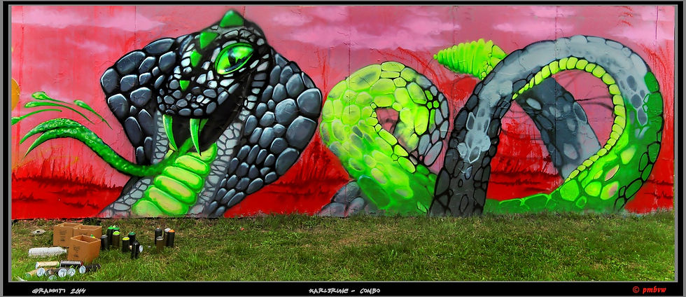 snake an waLL