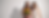 SPRING SERIES BANNER (1).png