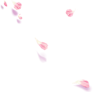 Website changes-2_edited.png