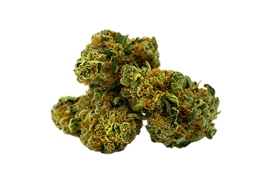 Drei grün-goldene getrocknete Cannabis Blüten.
