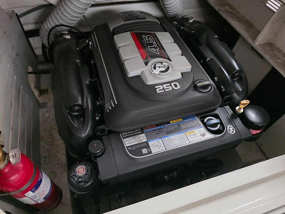 Miniature : Sea Ray 21 spx
