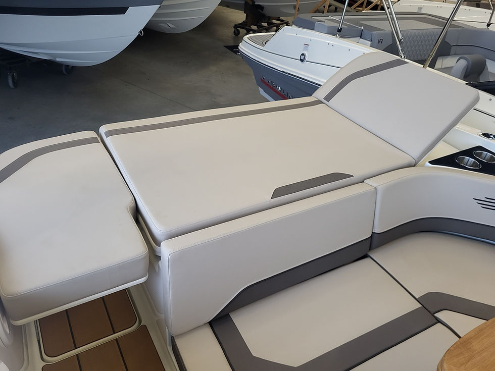 Miniature : Bayliner V20i