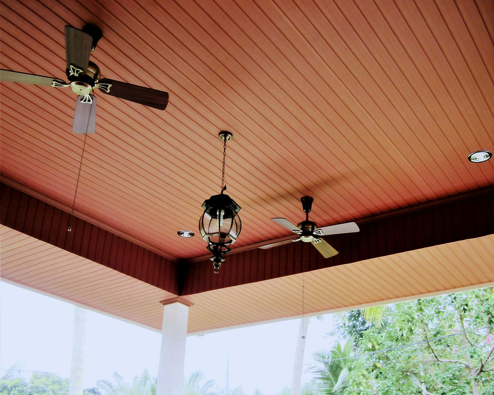 Premium WPC Plafon/Ceiling