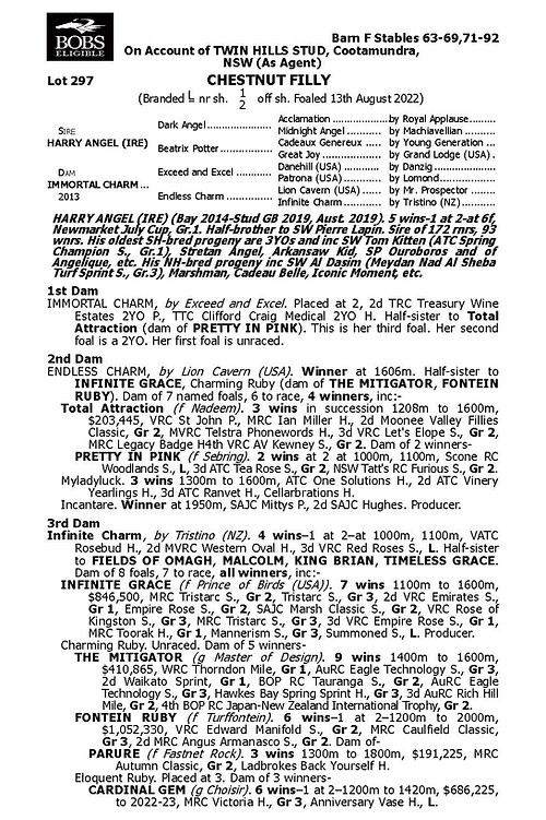 Harry Angel - Immortal Charm filly Pedigree