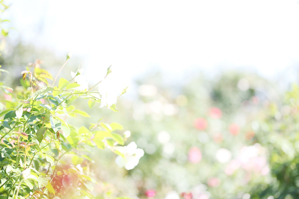 AdobeStock_301076406.jpeg