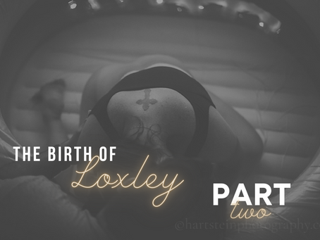 The Birth of Loxley.  Part Two.