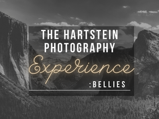 The Hartstein Photography Experience: Bellies