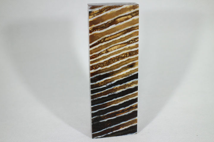 Thumbnail: Mammoth molar.