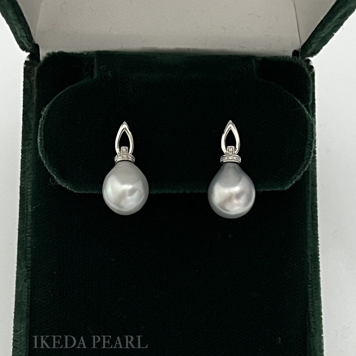11.0-10.0mm Bluish Grey Tahitian Tear Drop Pearl Earrings