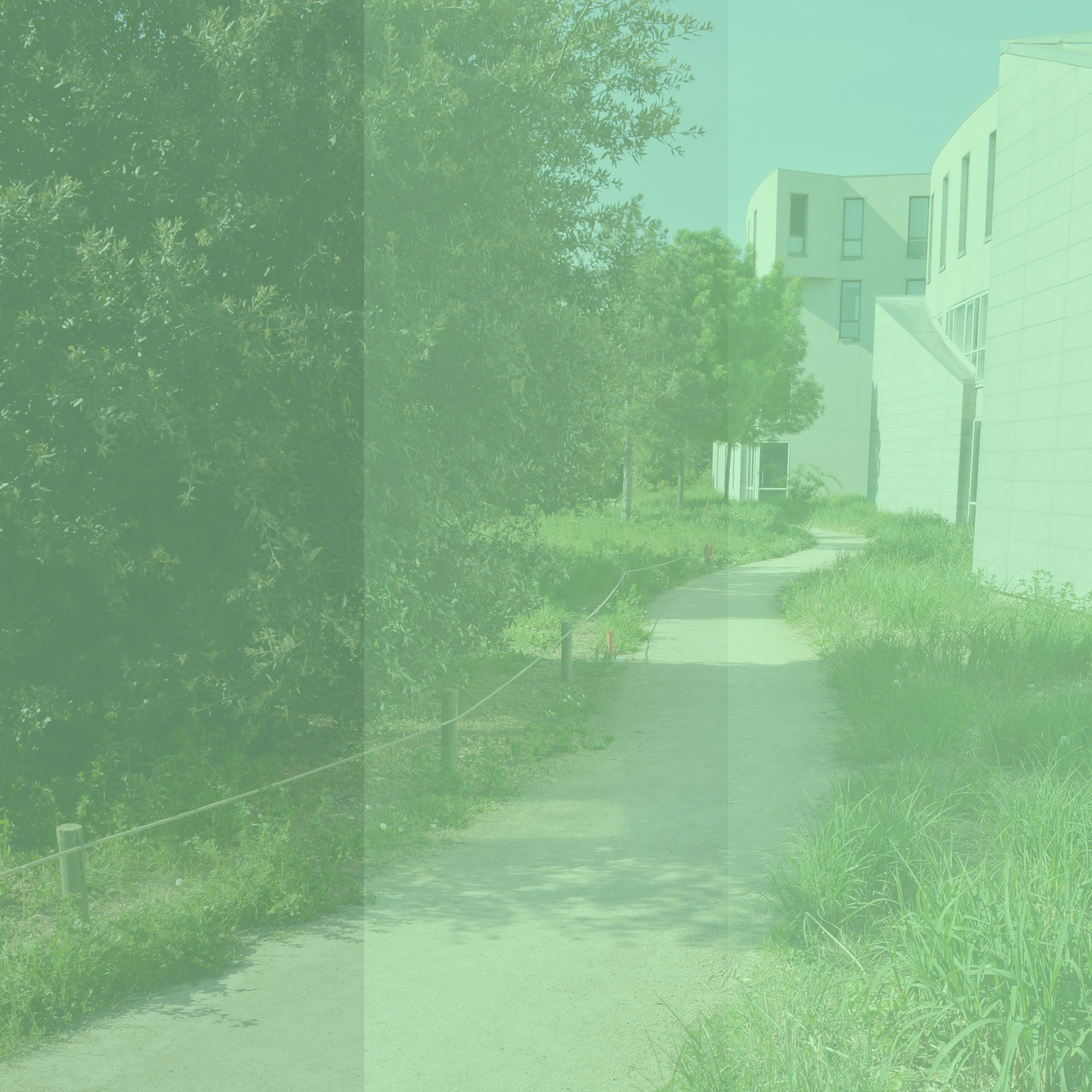 [CABRAL, 2020] Caminhar, descobrir, projetar: reflexões sobre a deriva [...]