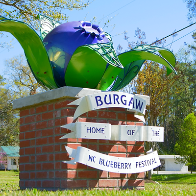 Blueberry Monument.png