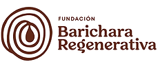 Barichara regenerativa