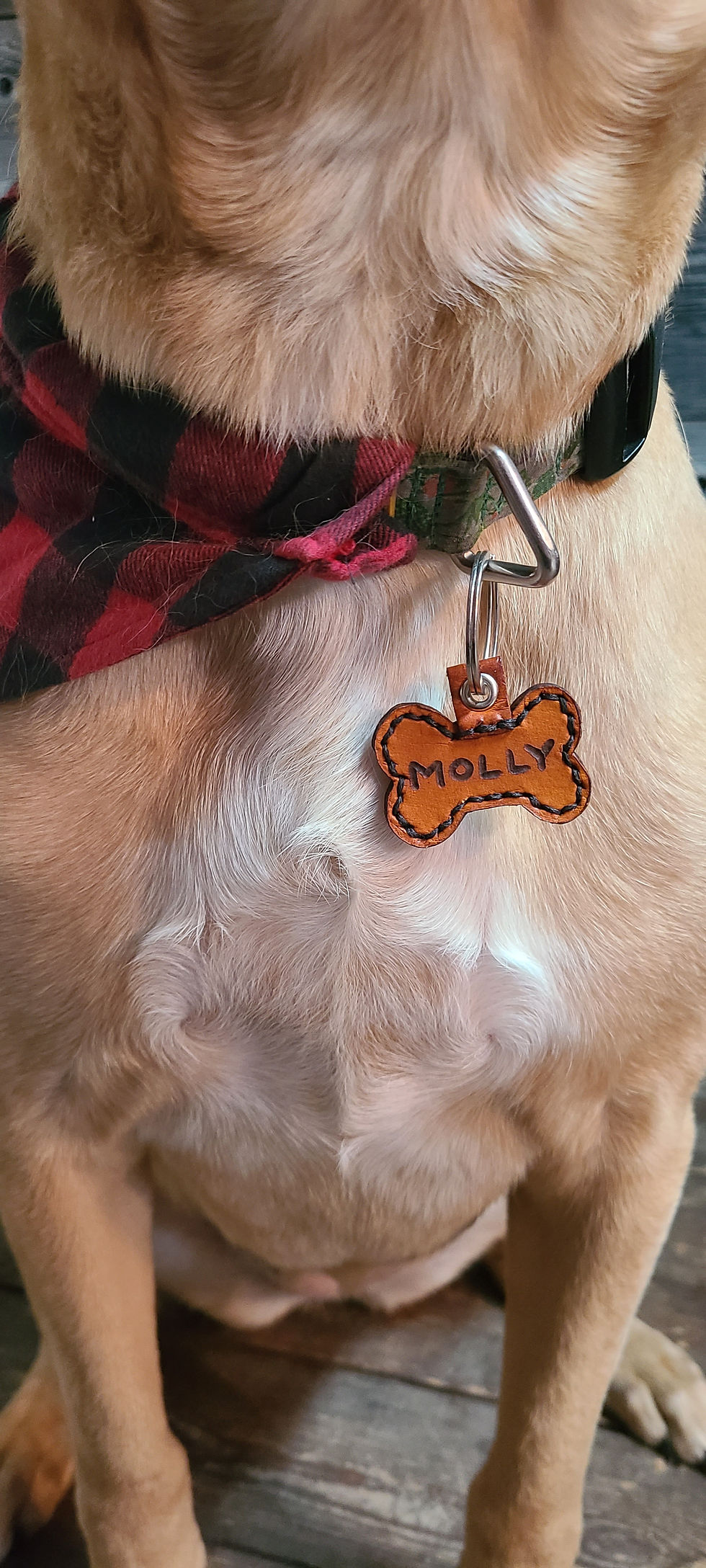 Leather Pet Collar Tags