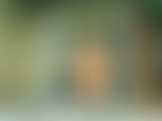 SKLO 10th Anniversary SALE開催