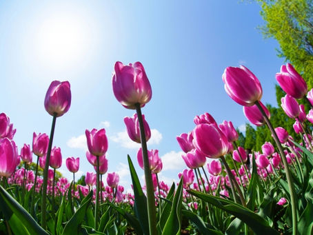 ５月・６月の休診日等一覧