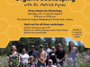 Hands-On Beekeeping Workshops