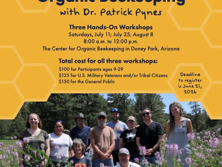 Hands-On Beekeeping Workshops