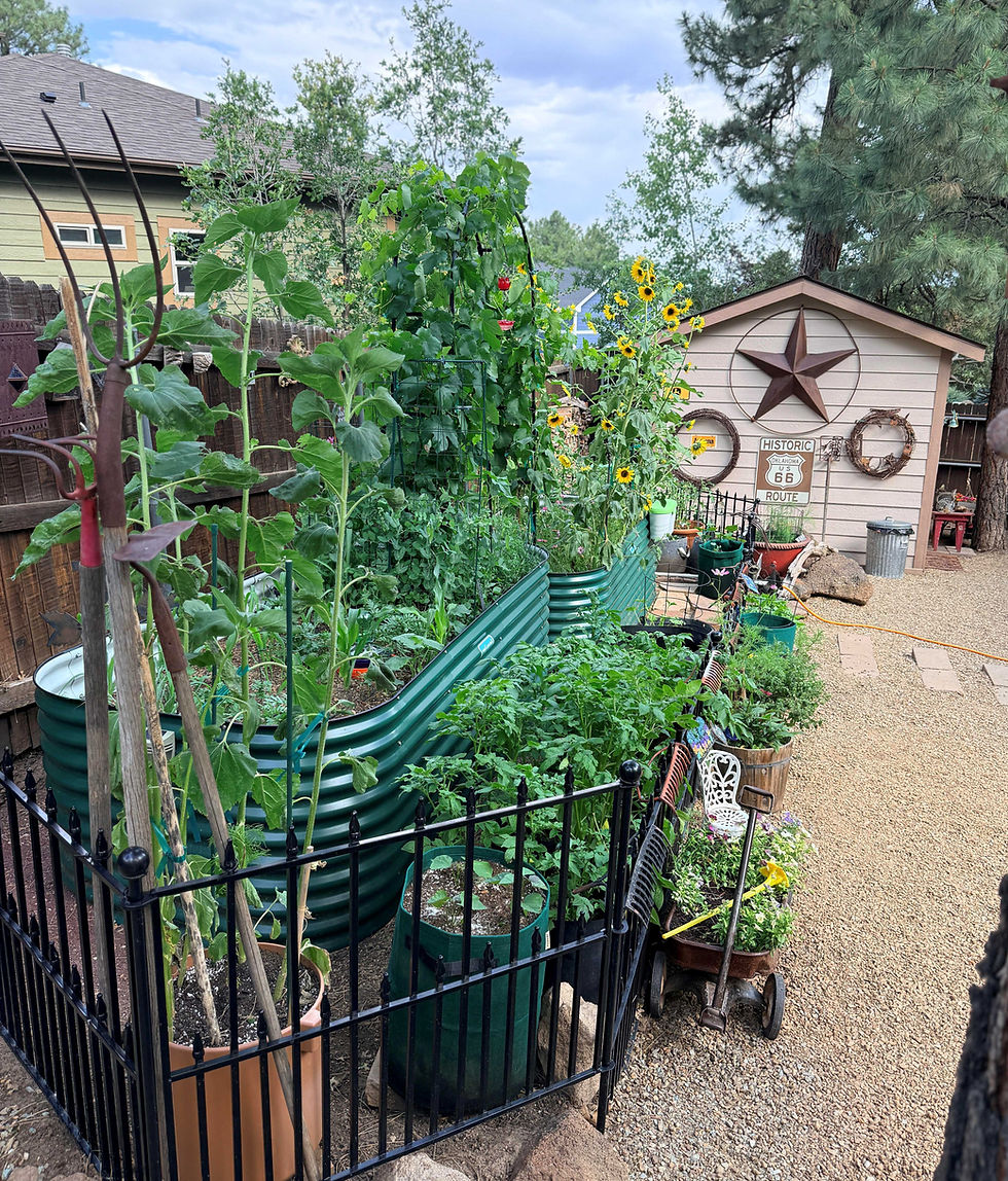 Photo of the Moon Garden with potting shed in the background