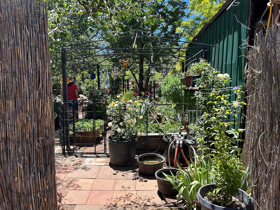 Image of potted plants on the entrance patio to the garden.