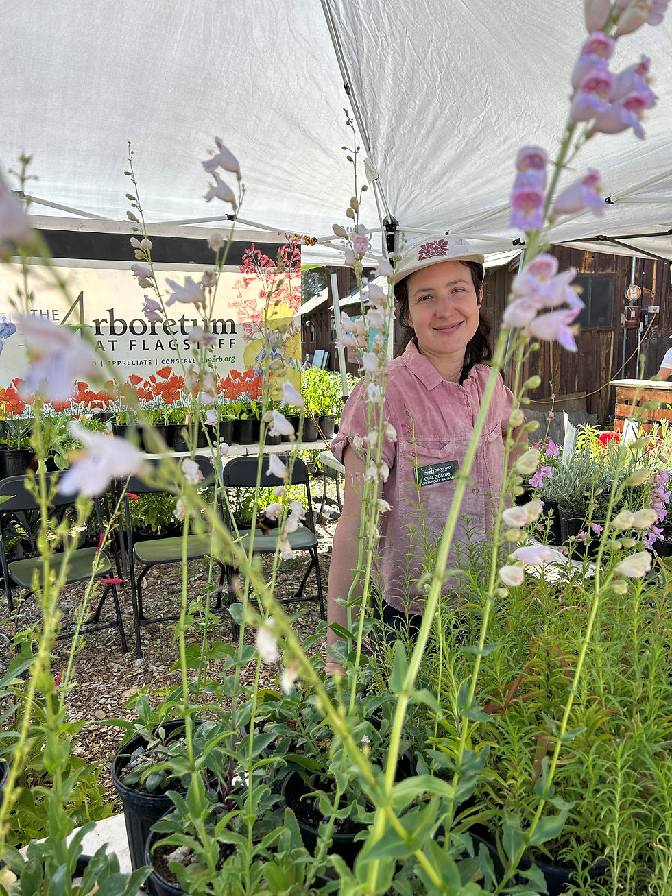 Head to the Arboretum’s Monsoon Plant Sale