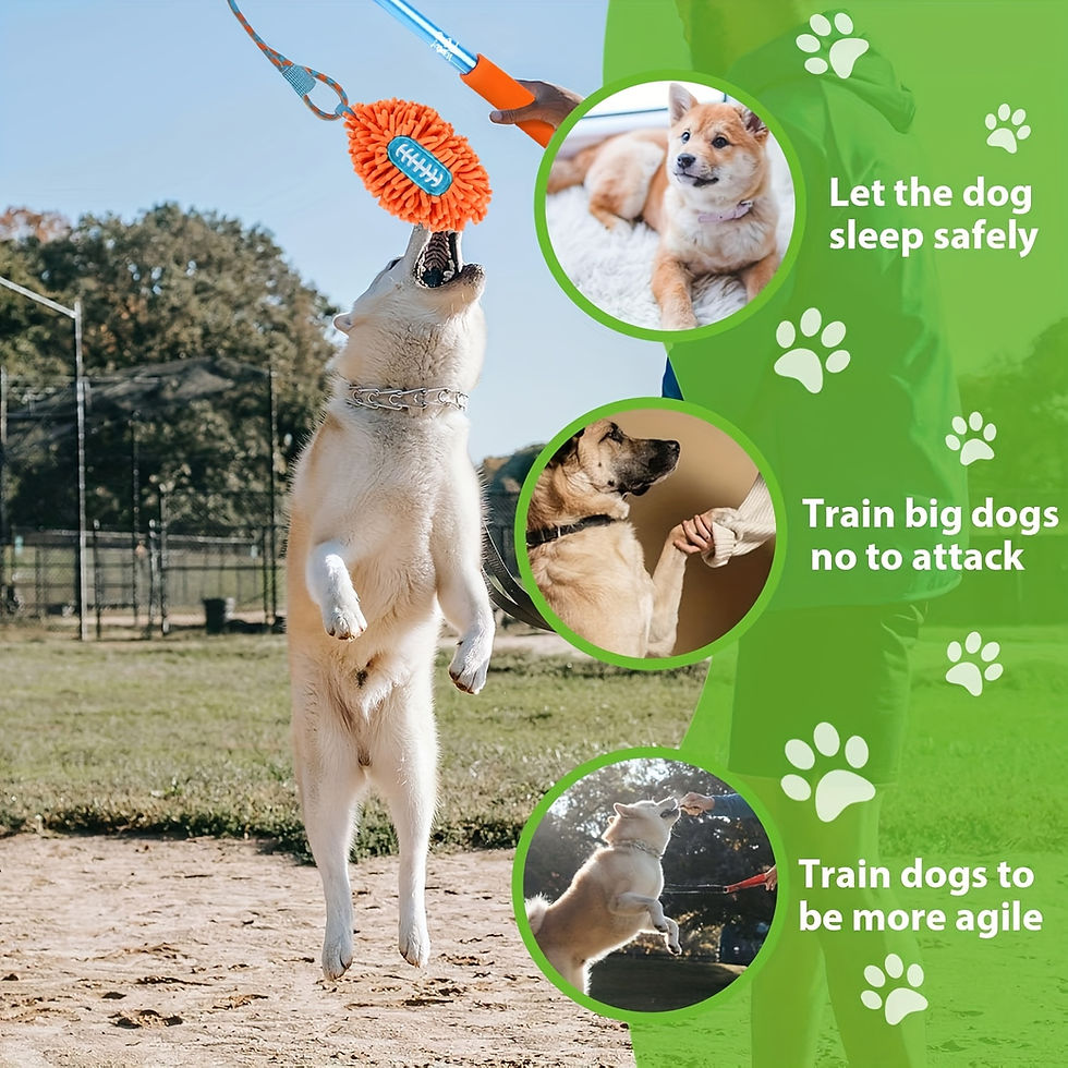 Thumbnail: Dog Flirt Pole with 2 toys