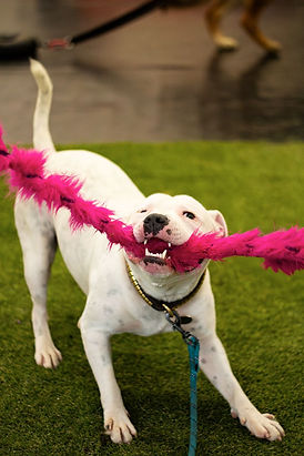 WhatsApp Image 2026-02-06 at 16.11.36.jpeg