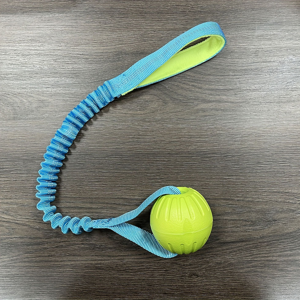 Thumbnail: Waterproof bungee ball