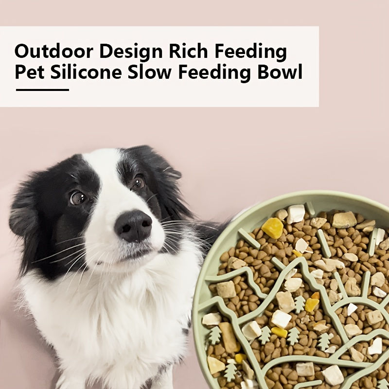 Thumbnail: Pet slow feeder Bowl