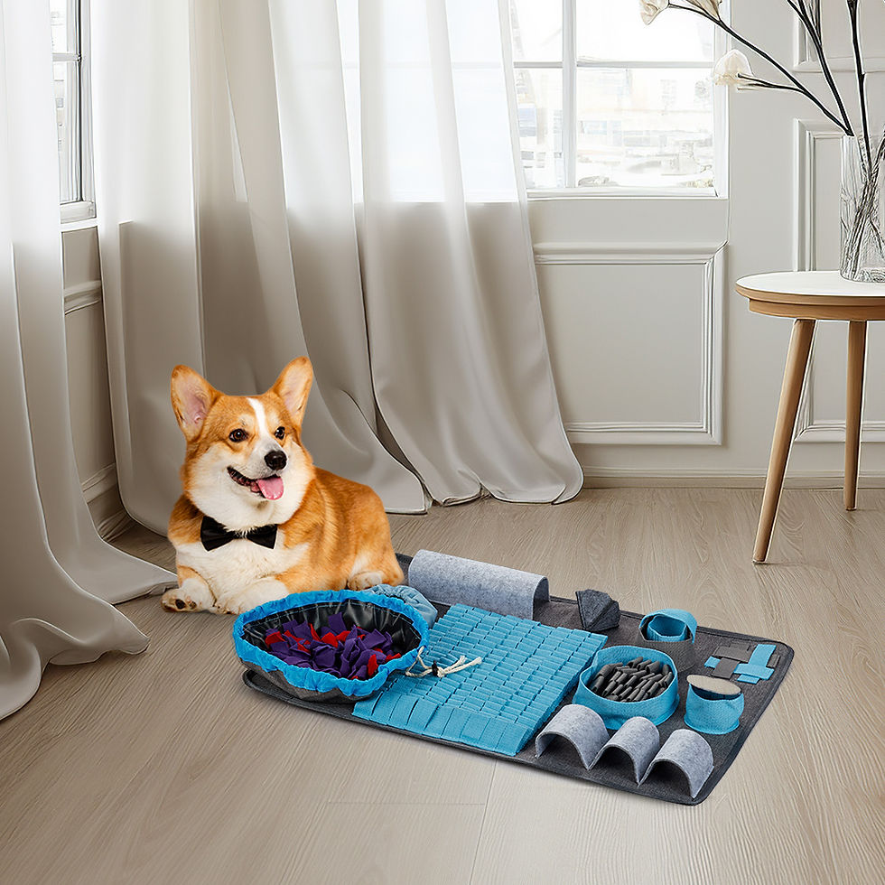 Thumbnail: Pet Snuffle Mat for Dogs