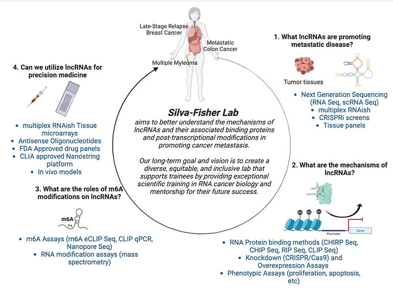 Fig1 hhmi_edited_edited.jpg