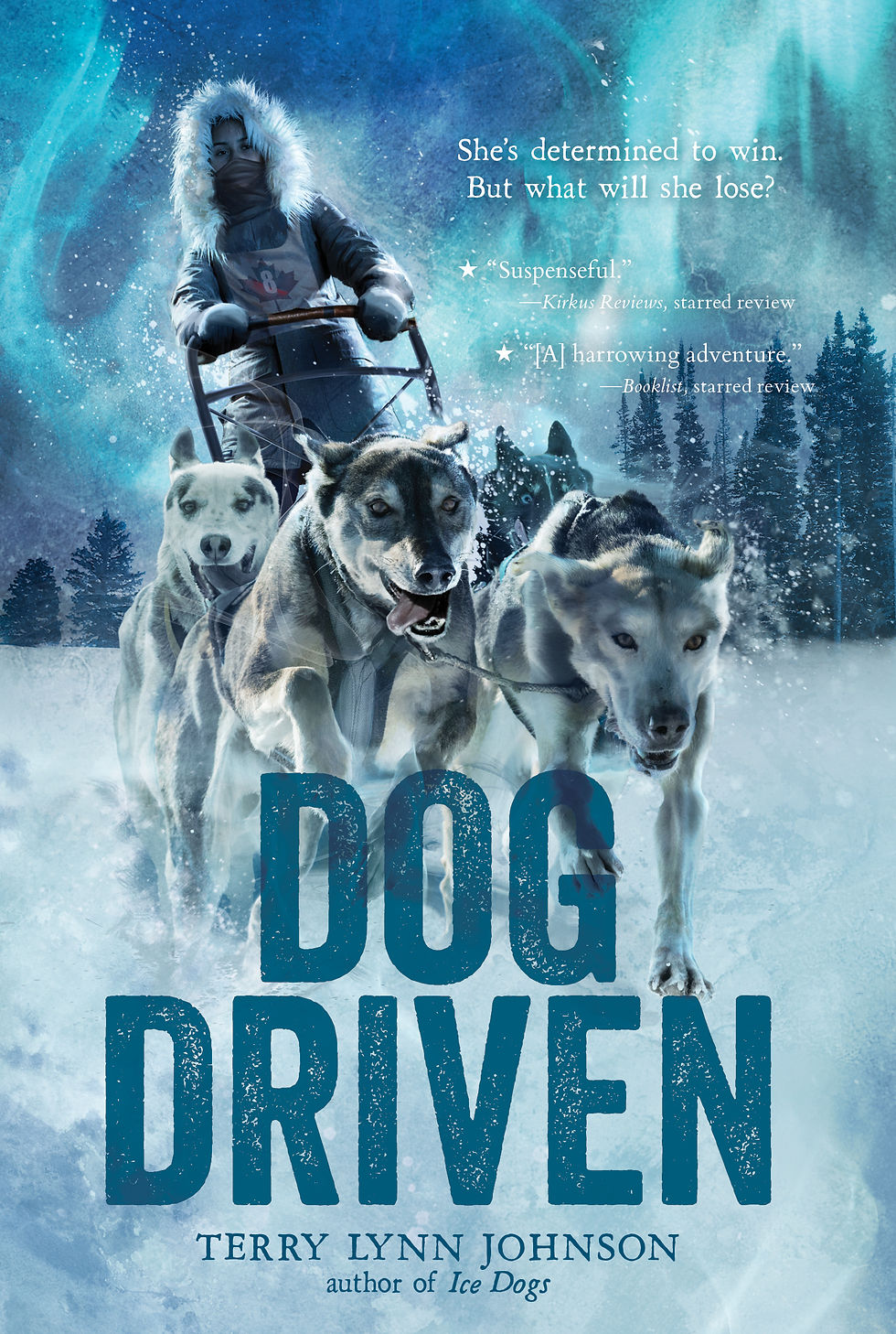 dog driven.jpg