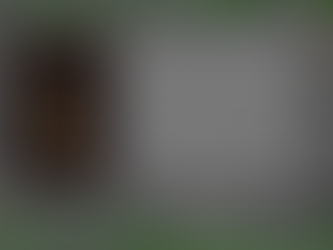 Bravery, Self-discovery, and Friendship Shine in Everbright by Craig Phillips