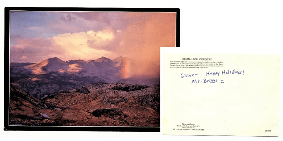 The Forgotten Bookmarks Project: Unveiling the Stories Behind Abandoned Words