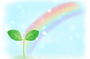 虹