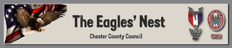 The Eagles Nest Brand Colors.png
