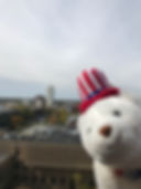 IMG_1817.jpeg