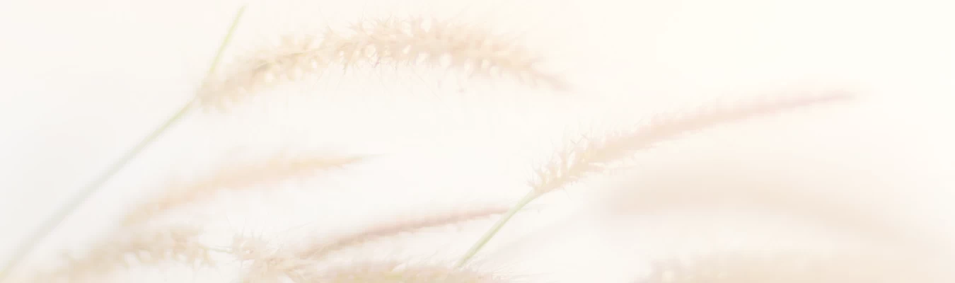 counselling-clinic-winchester-southampton.webp