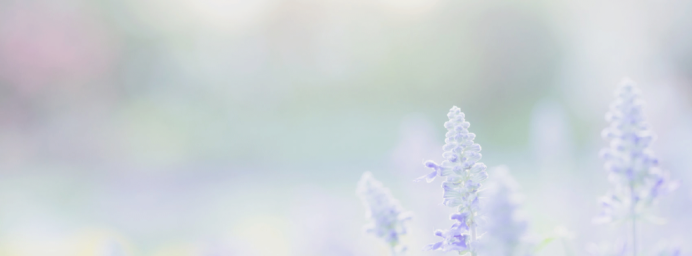 bereavement-counselling-testimonials.gif