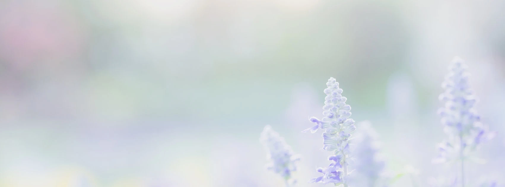 counselling-testimonials.webp