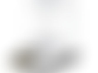 Sartorius SECURA324-1S Analytical Houston: 320 g × 0.1 mg from Cypress