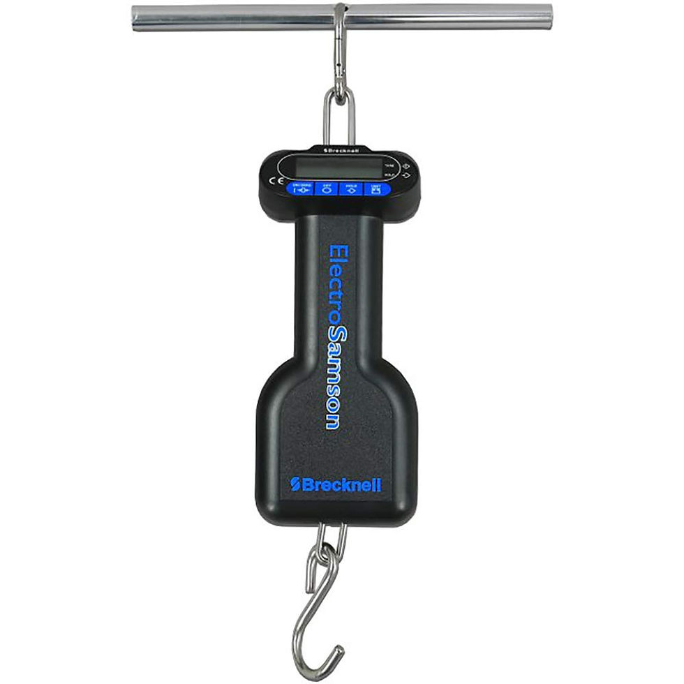 Electro-Samson Digital Hand Held Scale with LCD Display, 22 lb