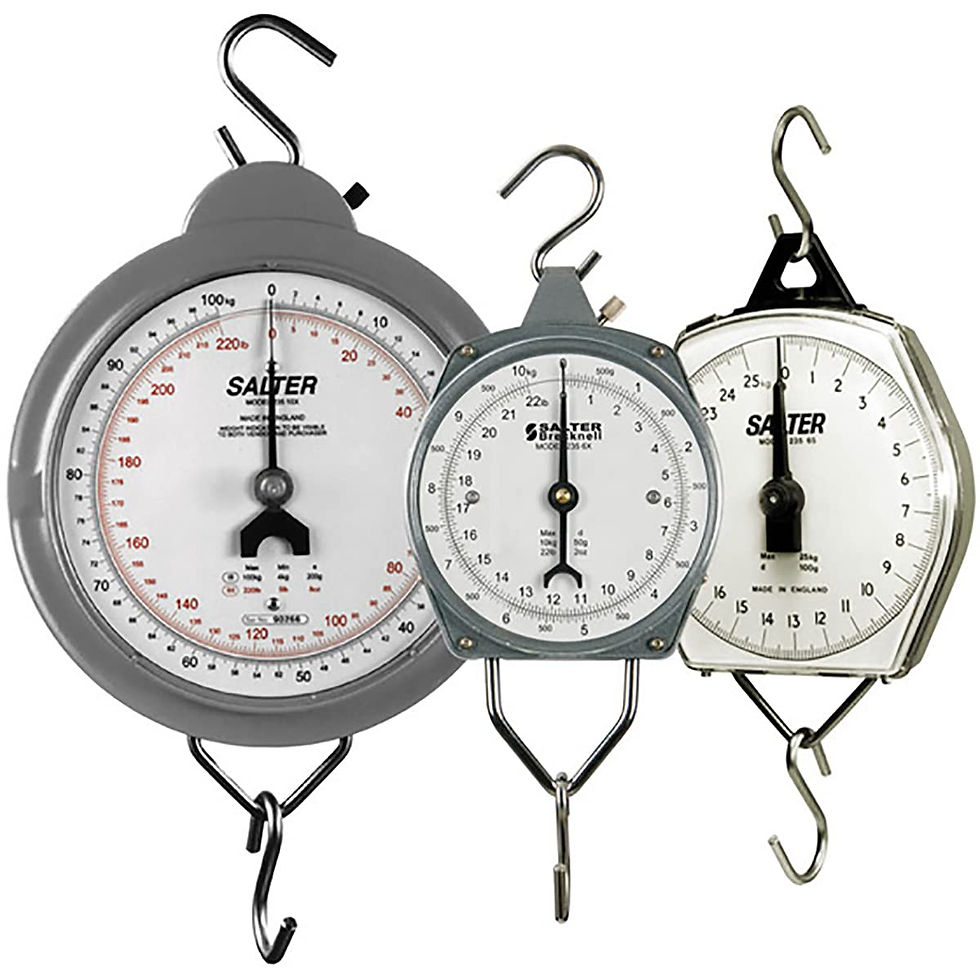 Brecknell Scales MSAN12208010000 56 lb. Hanging Scale