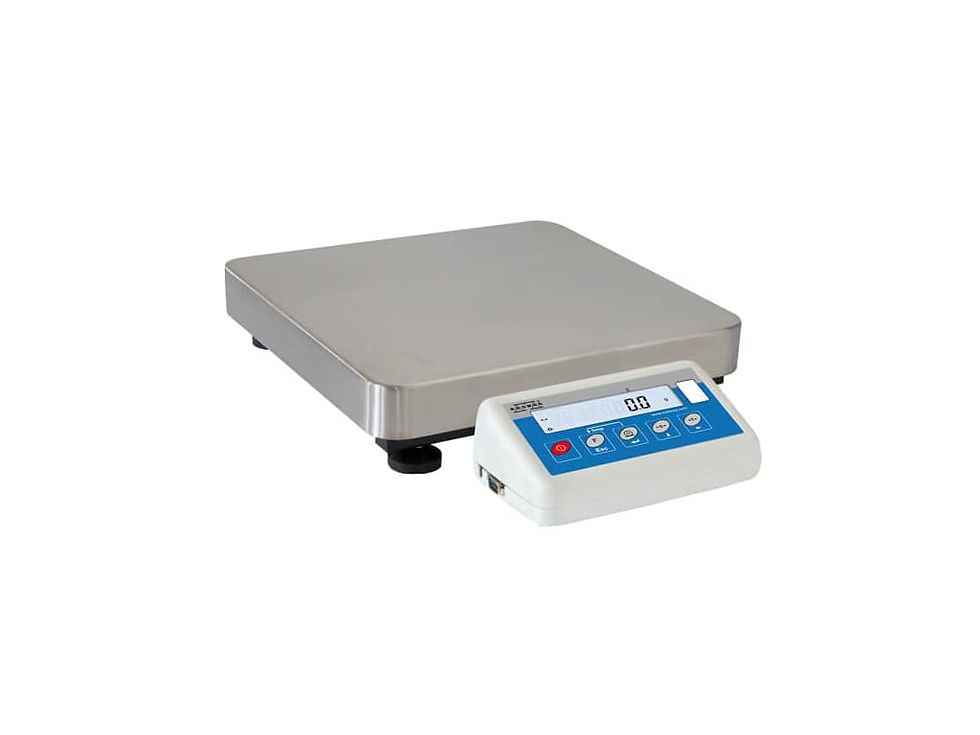 Radwag WLC 12/F1/R Precision Balance