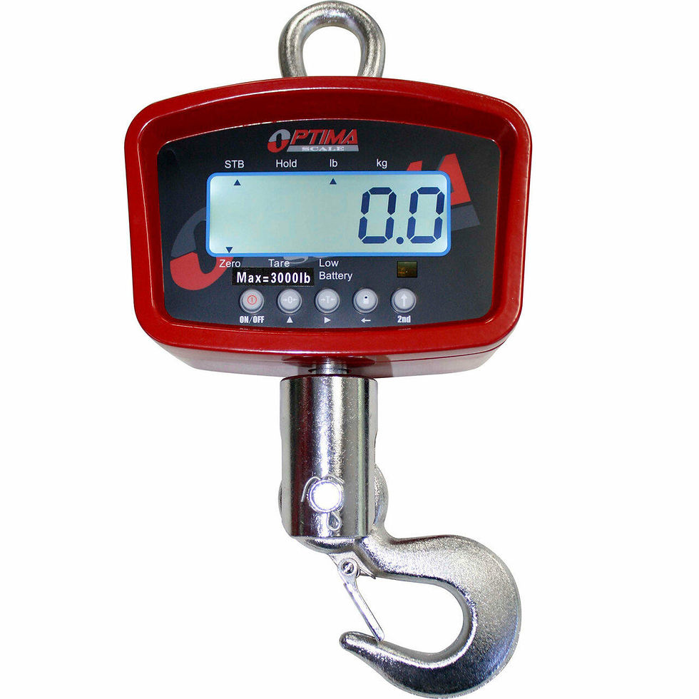 Comparable industrial hanging crane-scale form factor for buying-guide illustration; not exact IDS-808-40K-1