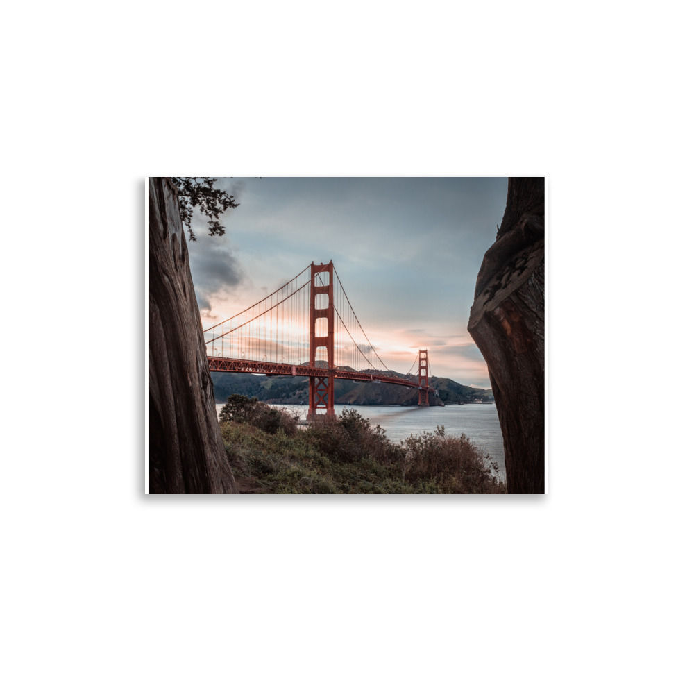 Golden Gate Bridge Through the Trees